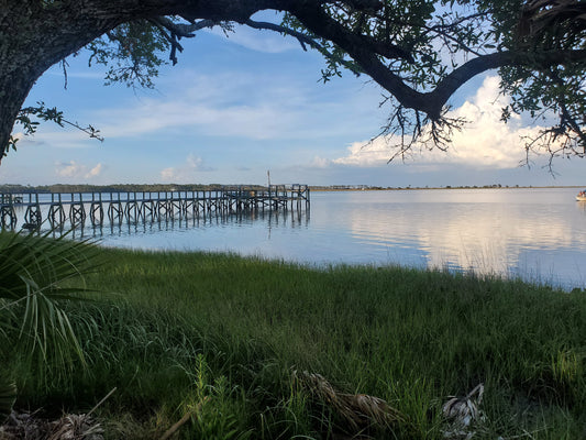 A Fresh Start: Reflections and Resolutions for the New Year